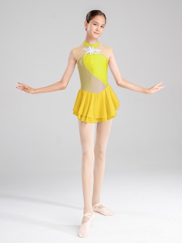 Kinder Mädchen Ballett Leotard Rock Tutu Kleid Gymnastik Ballerina Tanz Kostüm - Bild 30 von 54
