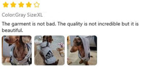 Dog Hoodie Jumpsuit Outfit - Black MD - Cute Pet Clothes for Puppy and Small Dog - Picture 16 of 16