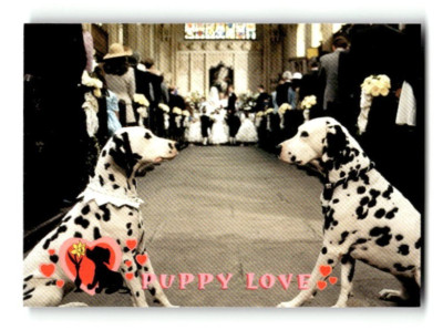 1996 SkyBox 101 Dalmatians Collectible Trading Card #43 Puppy Love
