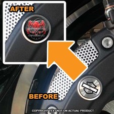 Brembo Front Brake Caliper Insert Set For Harley - Red Skull Flame - 164 Brembo Front Brake Caliper Insert Set For Harley - Red Skull Flame - 164