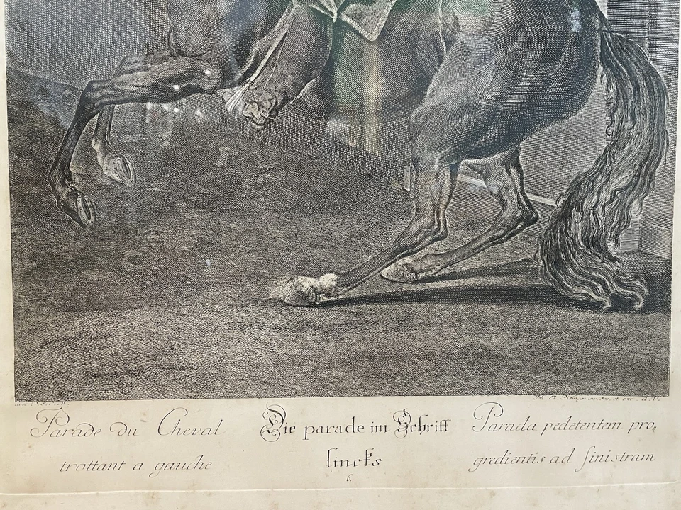 Kupferstich Elias Ridinger - Bild 4 von 4