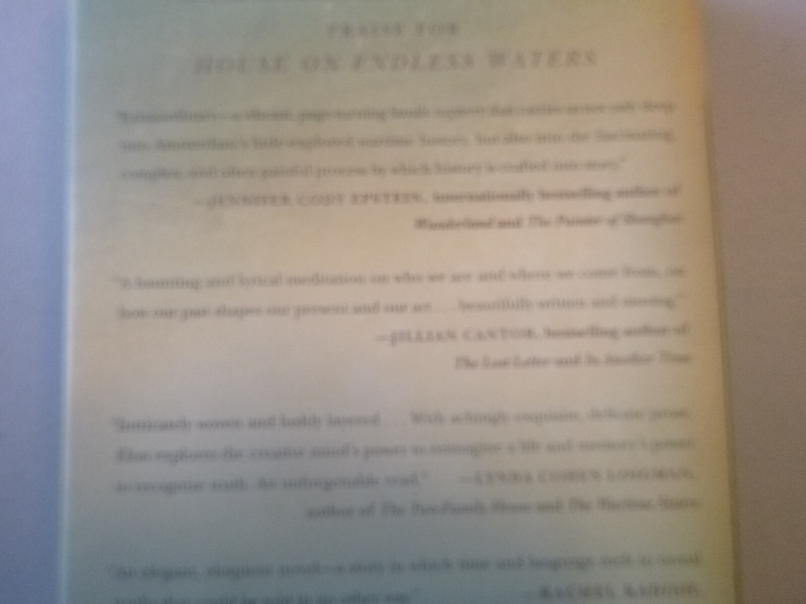 House on Endless Waters A Novel by Emuna Elon (2020, Hardcover) for