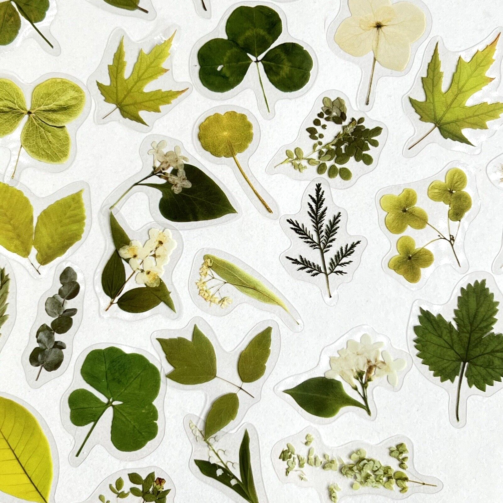 Small Green Leaf Stickers Spring Scrapbooking Journals Planners Cardmaking