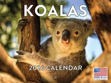 Koala Calendar 2026 Monthly Wall Calender 12 Month | American Made In The USA