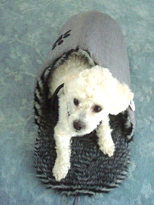 GRAY SLIPPER DOG/CAT BED