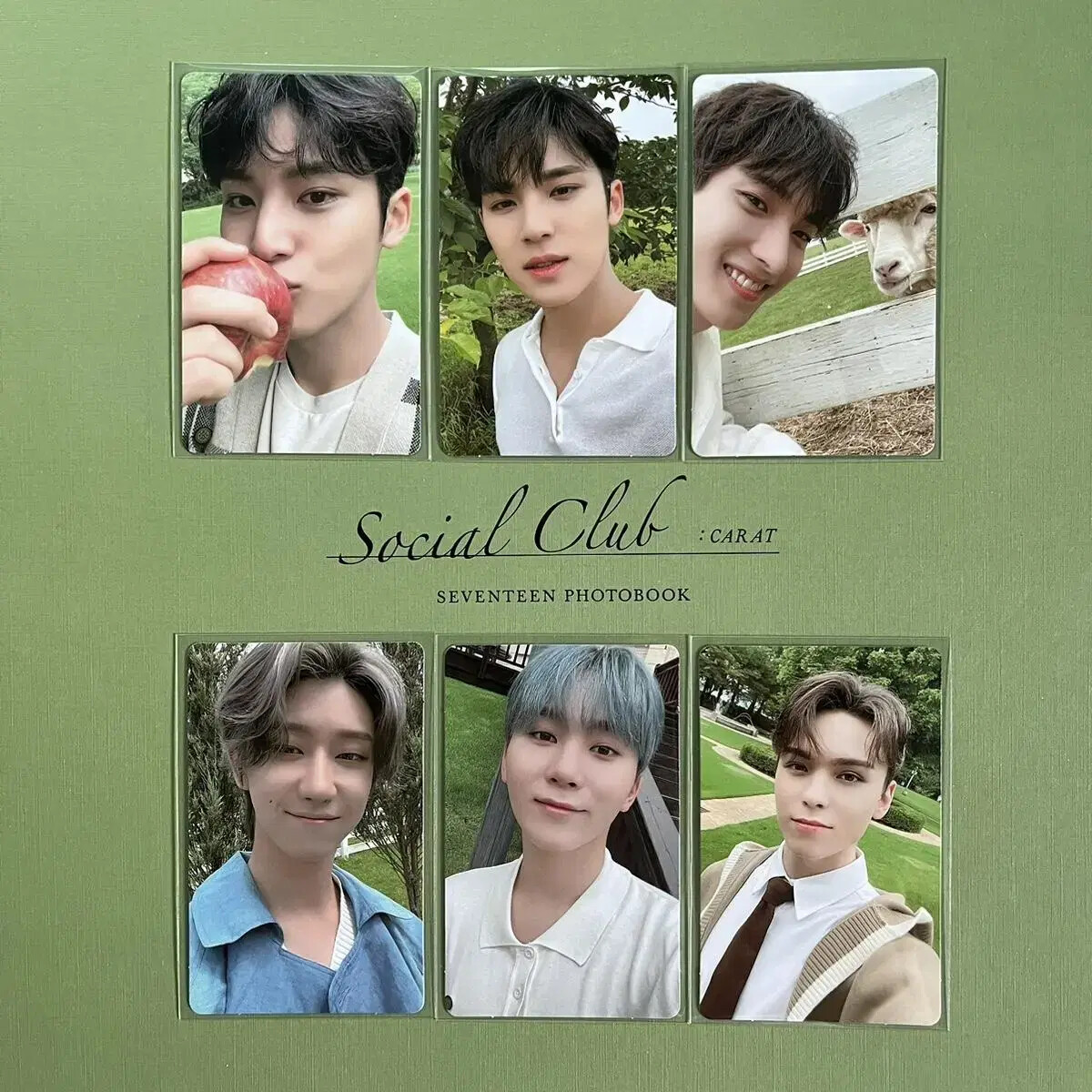 seventeen SOCIAL CLUB CARAT BAN DAKAPO ALPINE MINKYU wonwoo