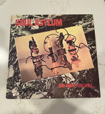 * SOUL ASYLUM * signed album * DAVE PIRNER & DANIEL MURPHY * SAY WHAT YOU WILL 2 * SOUL ASYLUM * signed album * DAVE PIRNER & DANIEL MURPHY * SAY WHAT YOU WILL 2