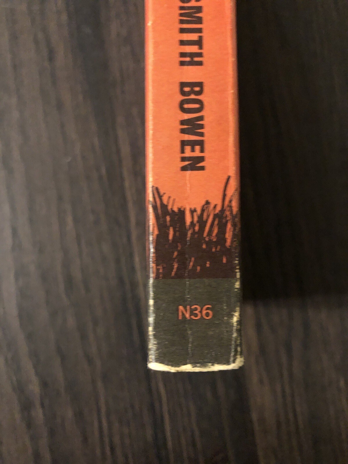 Picture 5 of 17
