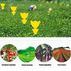 Sticky Fruit Fly Traps Yellow Fungus Gnat Killer Double Sided Catchers