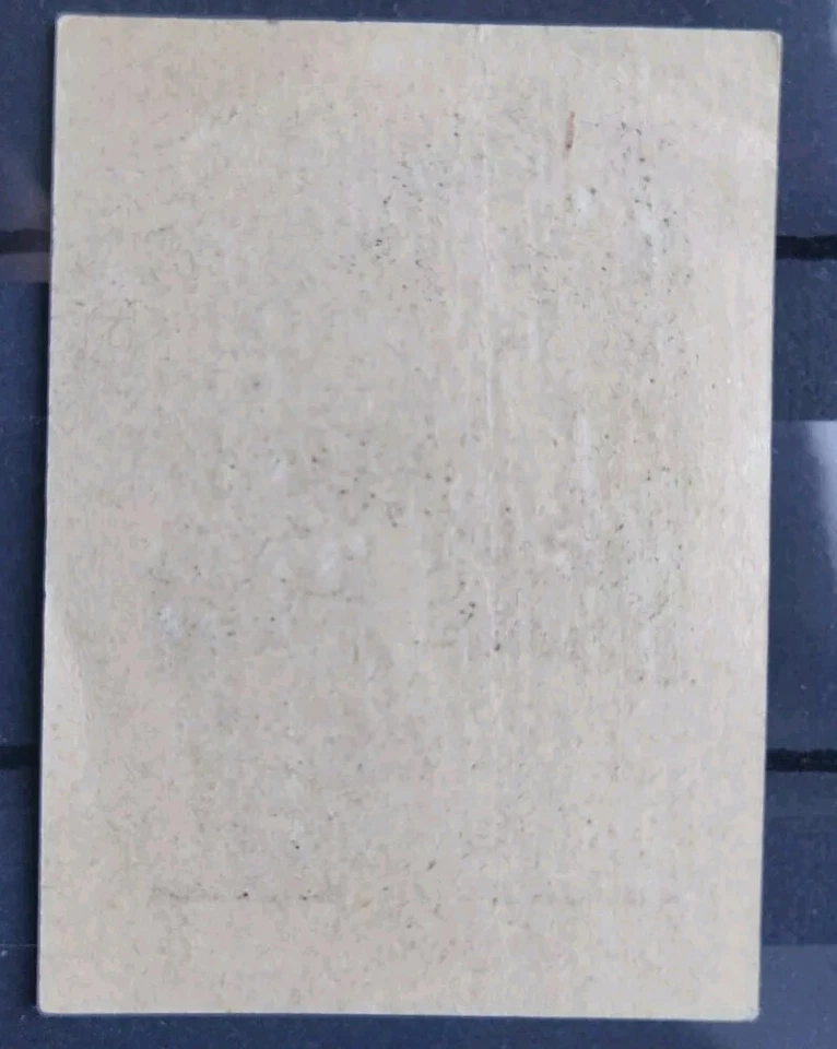 VIGNETTE CINDERELLA TIMBRE EXPOSITION INTERNATIONALE LYON 1914 NEUF NON DENTELÉS - Photo 2/2