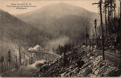 Horseshoe Tunnel Great Northern Railroad Train Washington State Forrest Postcard