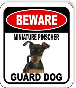 miniature pinscher guard dogs