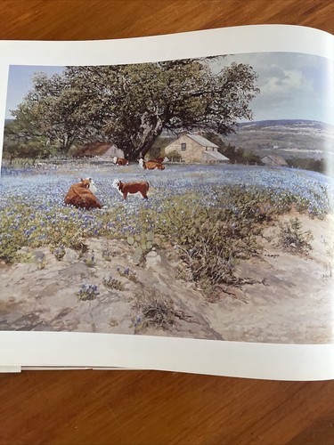Charles Beckendorf Texas Signed And Numbered First Edition - Imagen 7 de 9