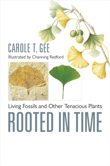 Rooted in Time by Carole T.  Gee (Hardback Book)