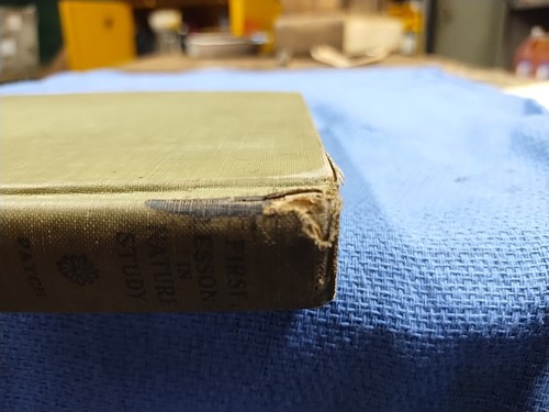 First Lessons in Nature Study Book by Edith M. Patch Copyright 1928 Hardcover - Picture 7 of 10