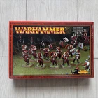 Chaos Beastmen Khorngors Sealed Warhammer Fantasy The Old World Warrior of Chaos