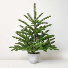 30" Potted Spruce Artificial Tree - Hearth Hand with Magnolia