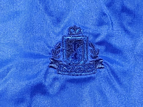 Vintage Izod Lacoste Nylon Pullover Hooded Jacket Windbreaker Blue Large - Picture 4 of 7