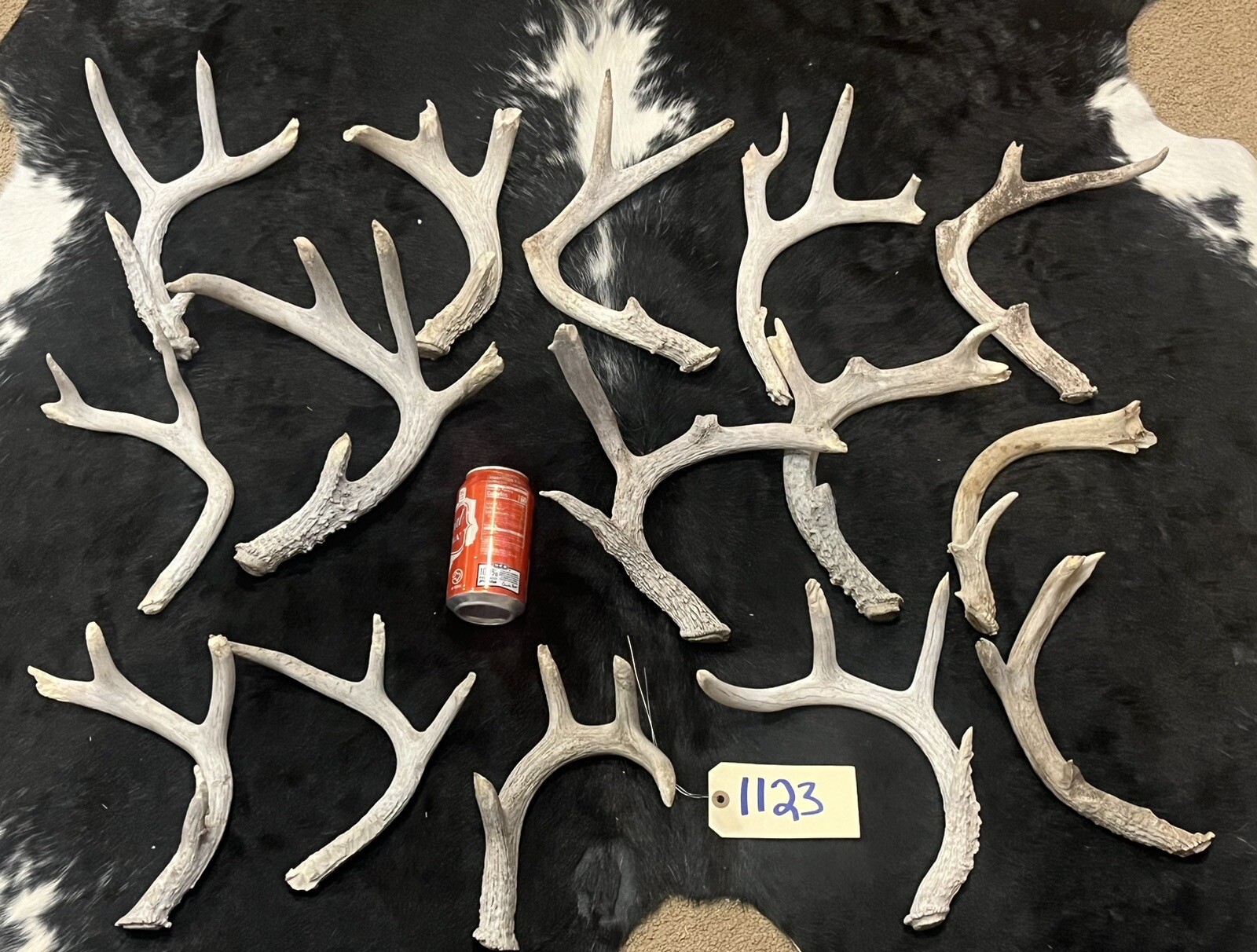 Lot of 15 Whitetail Deer Antlers Chewed 10 Lb Sheds Art Rustic Decor