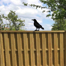 Metall Möwe Vogel, Metall Gartendeko, Metallzäune Topper, Metall Vogel Kunst