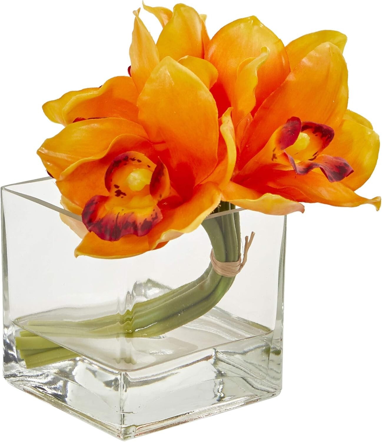 Nearly Natural Cymbidium Orchid Silk Arrangement in Glass Vase Set of 2