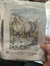 Collection D'Art Cross Stitch or Needlepoint Kit WIND OF CHANGE ~ Horse 8x10"