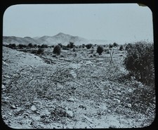 Magic Lantern Slide Photo Holy Land Gilgal GW Wilson