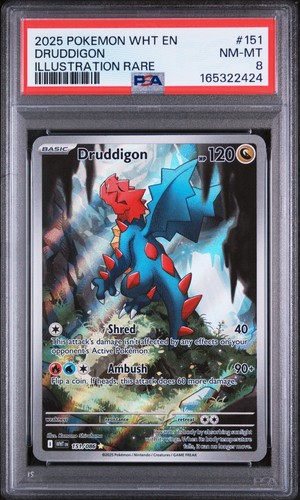 2025 Pokémon WHT EN-WHITE FLARE Illustration RARE #151 Druddigon PSA 8, blue dragon with red accents on waterfall background.