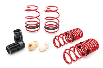 Eibach 赤 スプリング 4本セット Eibach Sportline Lowering Springs Kit Set of 4 fit 05-10 Ford