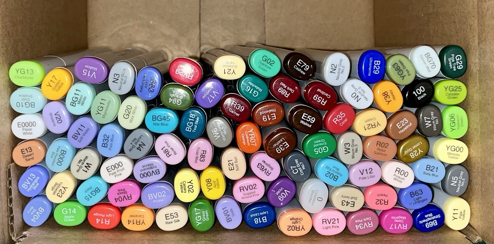 Assorted Colors Twin Tip New