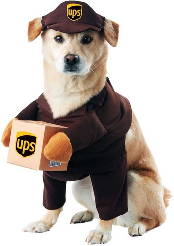 Dog Costume Delivery Shirt with Attached Arms Assembled Box and Cap PET20151. S
