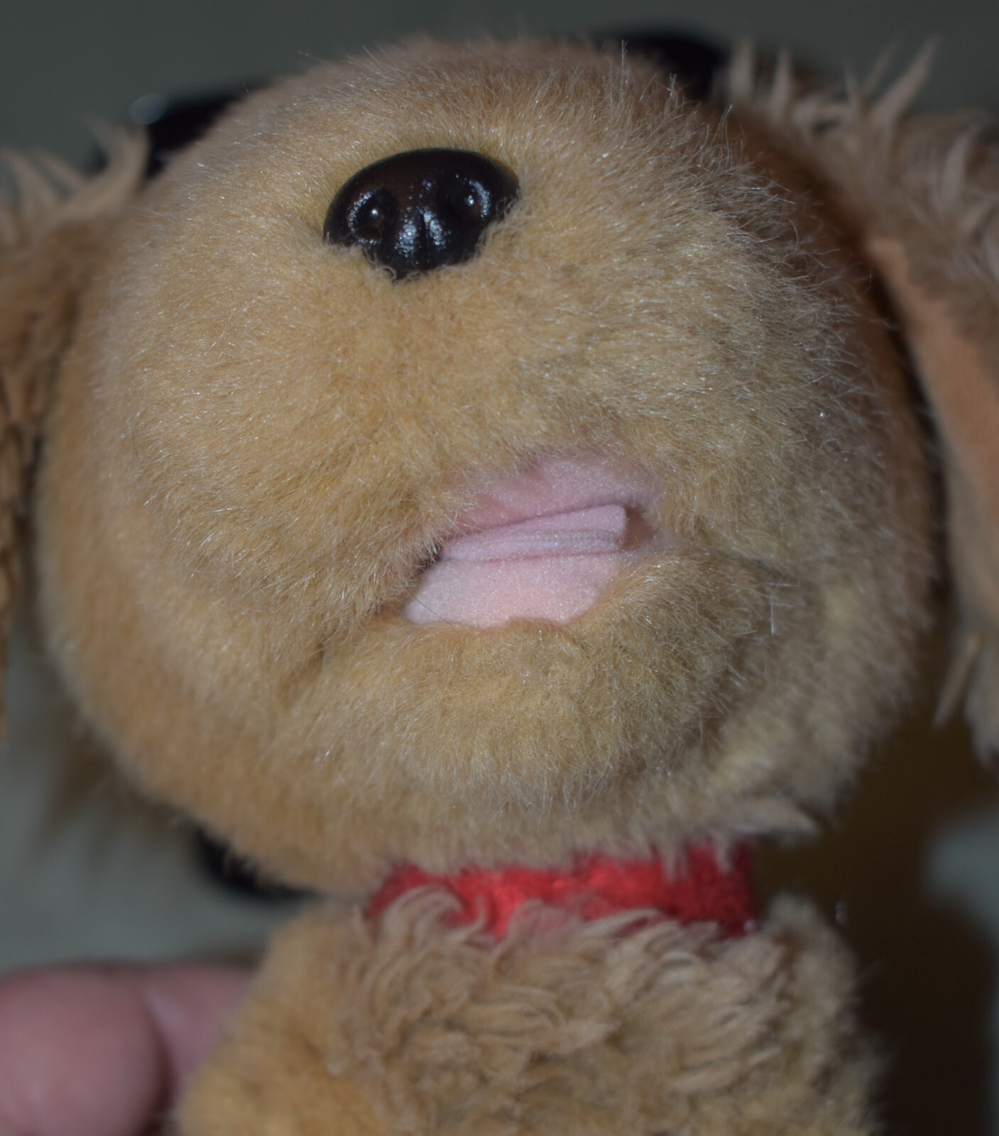 Bild 5 von 9