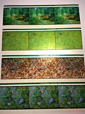 12 Monarch Butterfly Life Cycle  70mm IMAX Film Cells # 4.5.6.7