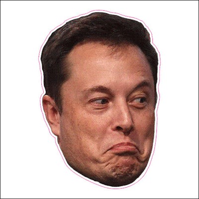 Elon Musk Printed Vinyl Decal / Sticker | eBay
