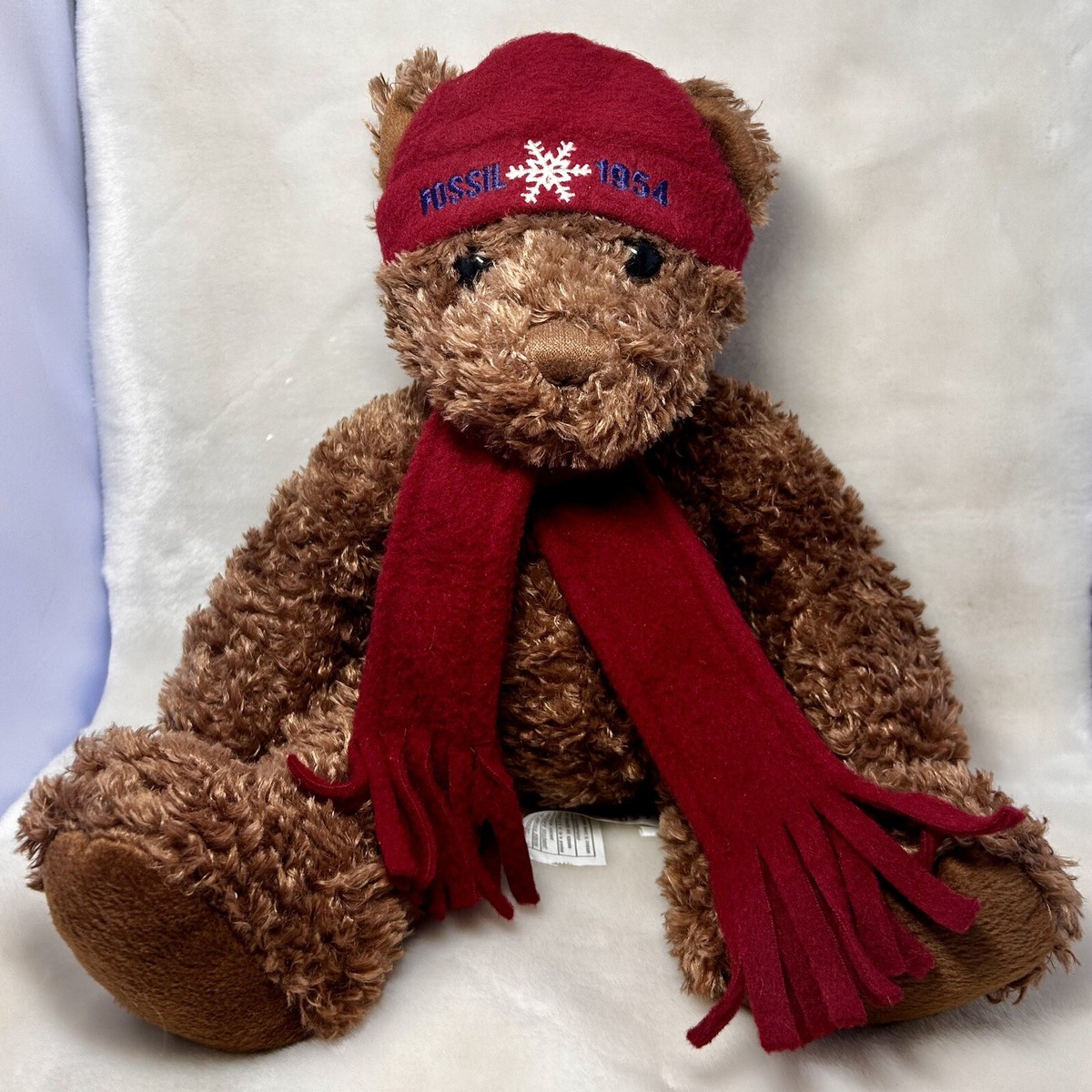 Authentic Fossil 1954 14