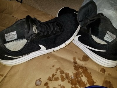 nike sb paul rodriguez lunarlon