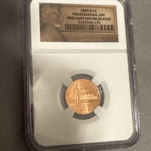 2009-D Professional Life Lincoln Cent NGC Brilliant Uncirculated 