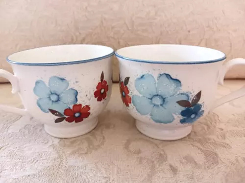 2 Pretty Vtg Noritake VersaTone Glimmer Coffee Tea Cups Blue Red Floral Stonewar