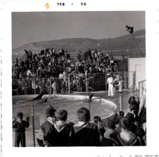 Sea Lion Show at Marineland Of The Pacific Los Angeles California 1958 Photo