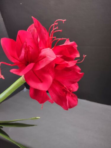 Artificial amaryllis with bulb. silk flower floral arrangements. RED - Picture 3 of 6