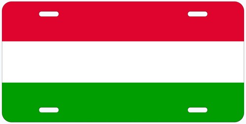 Matrícula de coche novedoso con bandera de país europeo - Imagen 22 de 53
