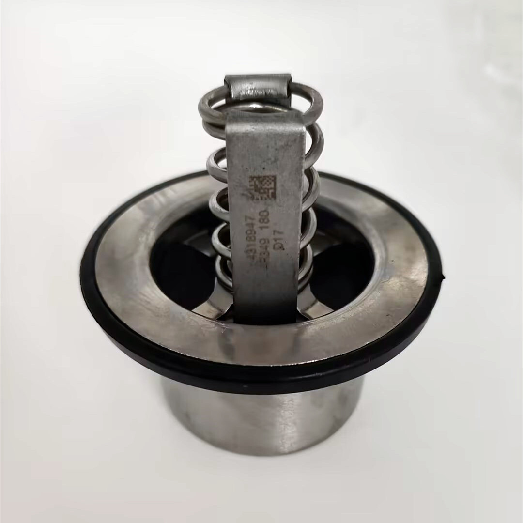 Tsuji13 Genuine Cummins Thermostat 4318947 4r349 180 Degree L14 for