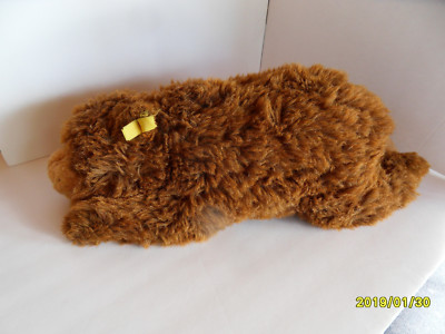 Steiff bear Teddy bear large button flag  Germany 2690