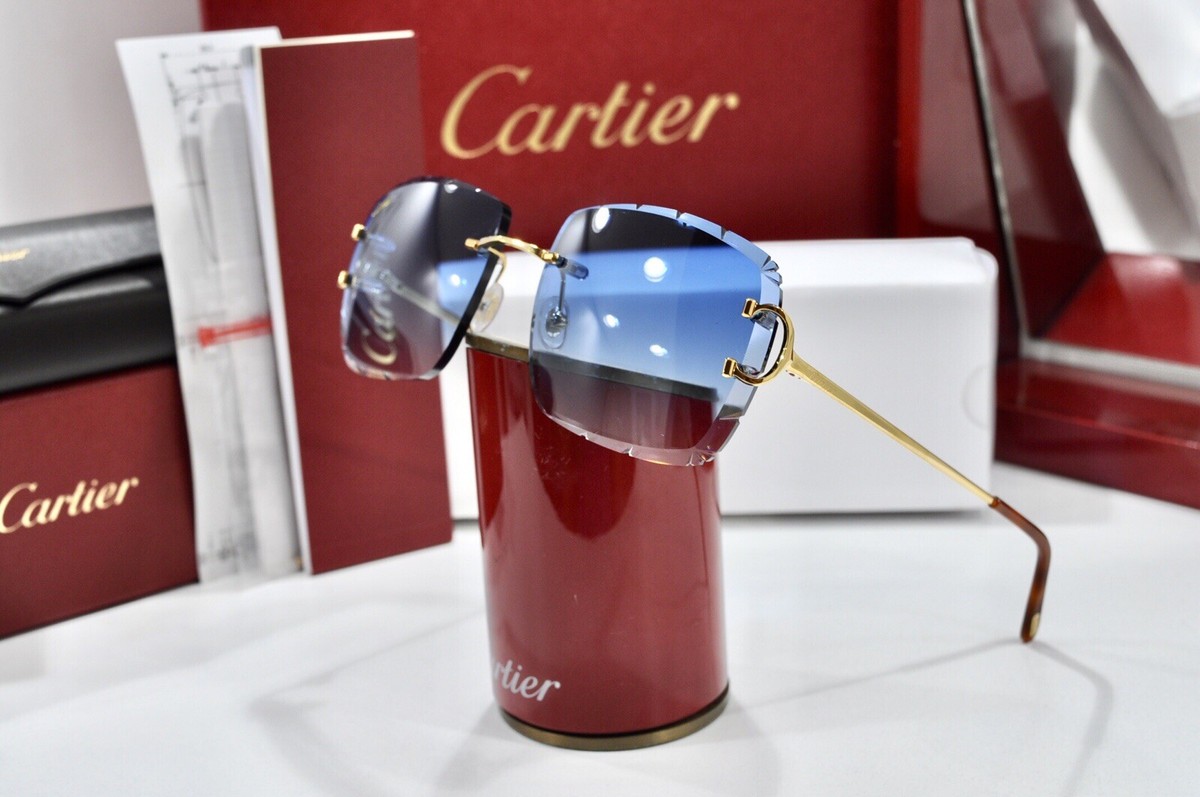 CARTIER ハンテル スクエア フレム サンクラス CT0502S 003 CARTIER ハンテル スクエア フレム サンクラス CT0502S 003