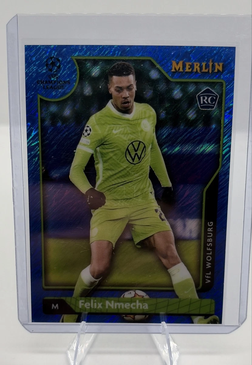 VfL Wolfsburg - Saison 2023/24 - Größe 30 cm x 22 cm _ A4 Format