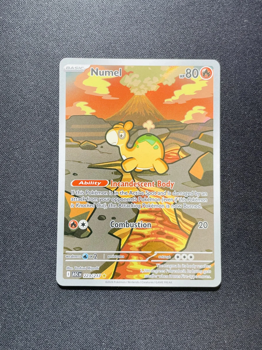 surging sparks booster box price Pokemon TCG Surging Sparks Booster Box  Sergio's Collection
