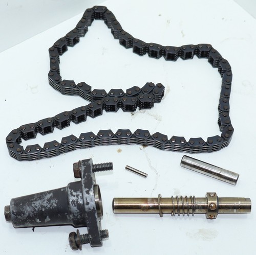 🌈🏍️  Kawasaki GPZ305 EX305A‼️ Steuerkette und Kettenspanner