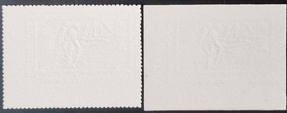 Emiratos Árabes Unidos 1970 perf + imperf Ras Al Khaima MNH SPACE plata 2 estampillas Foto 2 de 3