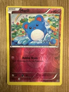 Pokemon - Marill 76/114 Reverse Holo XY Steam Siege LP