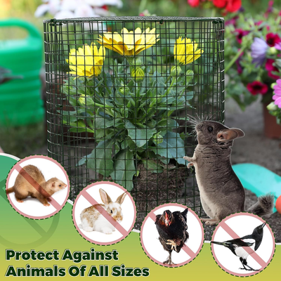 Raised Bed Rabbit Protection The Most Lo Fi Rabbit Protection Ever